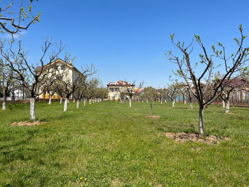 Casa cu 5 camere, teren 5000 mp | Bolintin Vale - Malu Spart