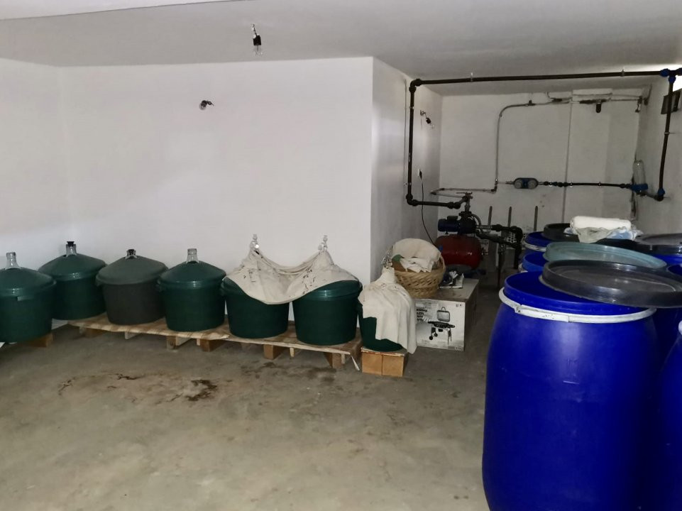 Casa cu 5 camere, teren 5000 mp | Bolintin Vale - Malu Spart