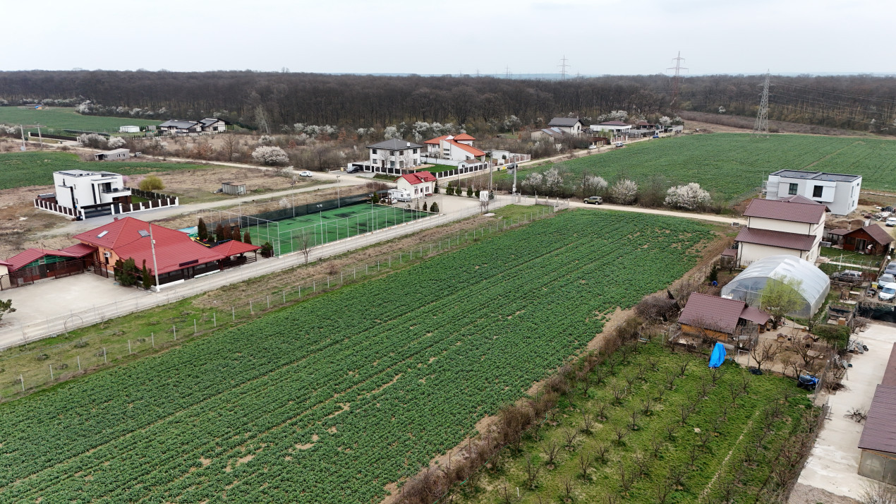 0% | Teren intravilan, 6444 mp, front 20 m | Balotesti - Dumbraveni