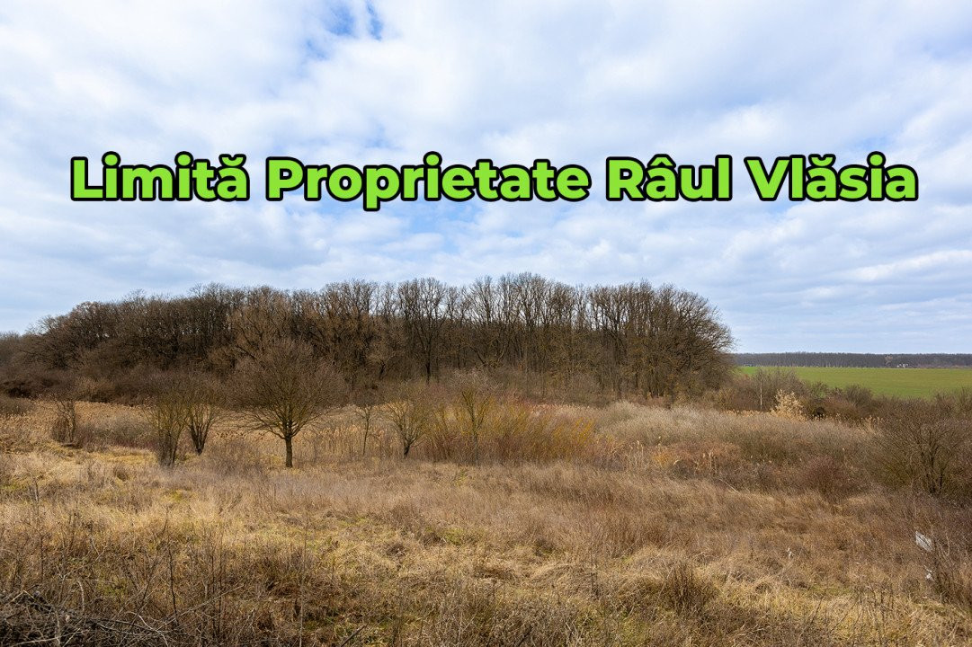 Teren Intravilan de Vânzare Balotești Strada Liliaculului
