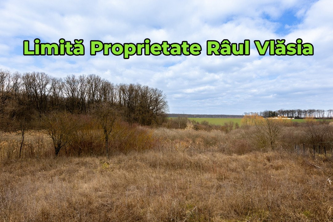 Teren Intravilan de Vânzare Balotești Strada Liliaculului