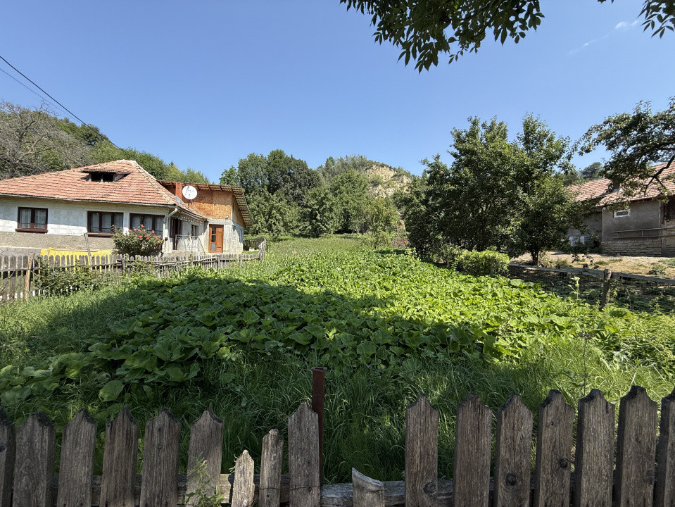 Teren intravilan, 2476 mp in cadru natural, regim P+1E+M | COMARNIC