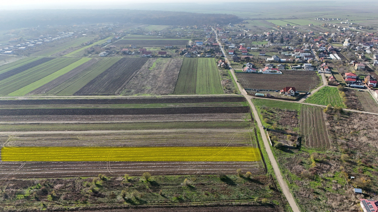 Teren 10.000 mp, parcelabil, ideal ansamblu case P+1 | Gulia - Dambovita