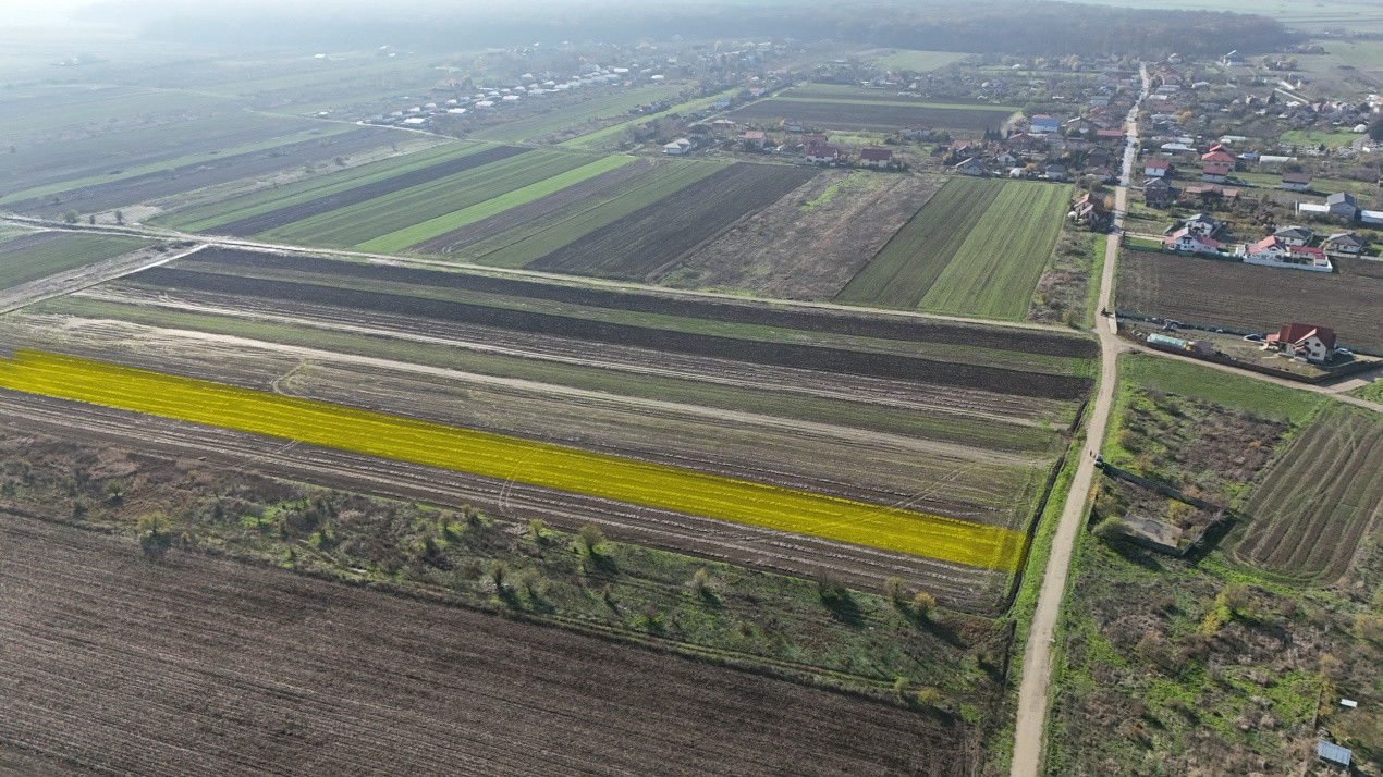 Teren 10.000 mp, parcelabil, ideal ansamblu case P+1 | Gulia - Dambovita