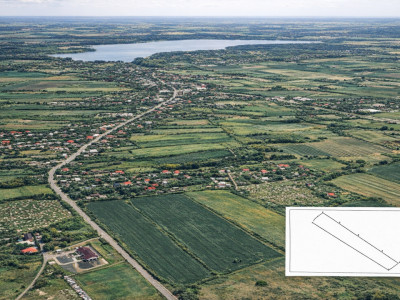 Teren pentru dezvoltare de 21800 mp cu front 58 m | Snagov - Gruiu | 0%